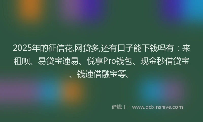 2025年的征信花,网贷多,还有口子能下钱吗有：来租呗、易贷宝速易、悦享Pro钱包、现金秒借贷宝、钱速借融宝等。