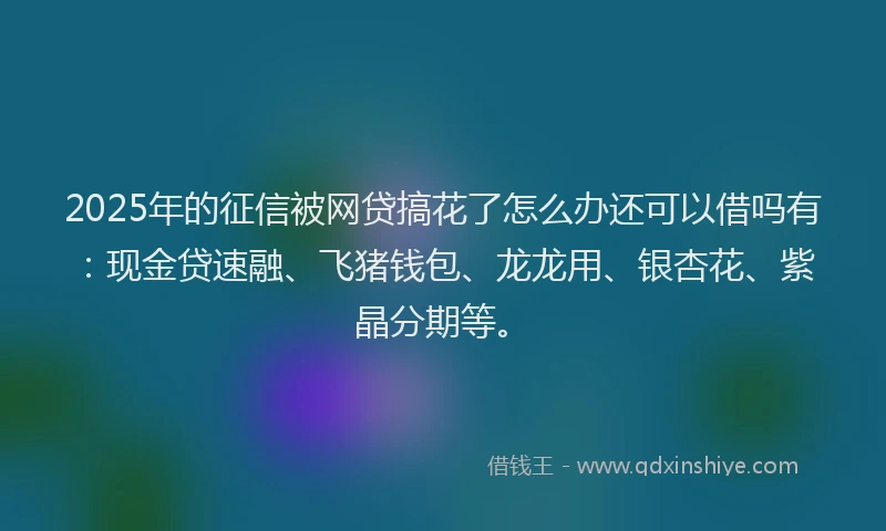 2025年的征信被网贷搞花了怎么办还可以借吗有：现金贷速融、飞猪钱包、龙龙用、银杏花、紫晶分期等。
