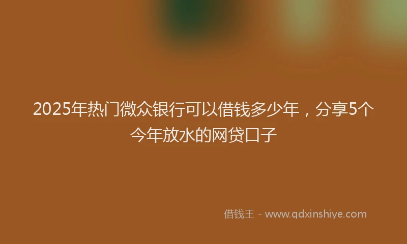 2025年热门微众银行可以借钱多少年，分享5个今年放水的网贷口子