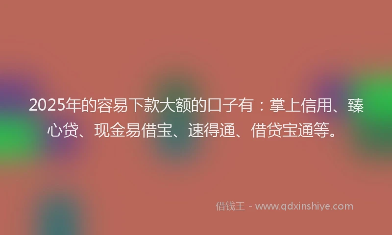 2025年的容易下款大额的口子有：掌上信用、臻心贷、现金易借宝、速得通、借贷宝通等。