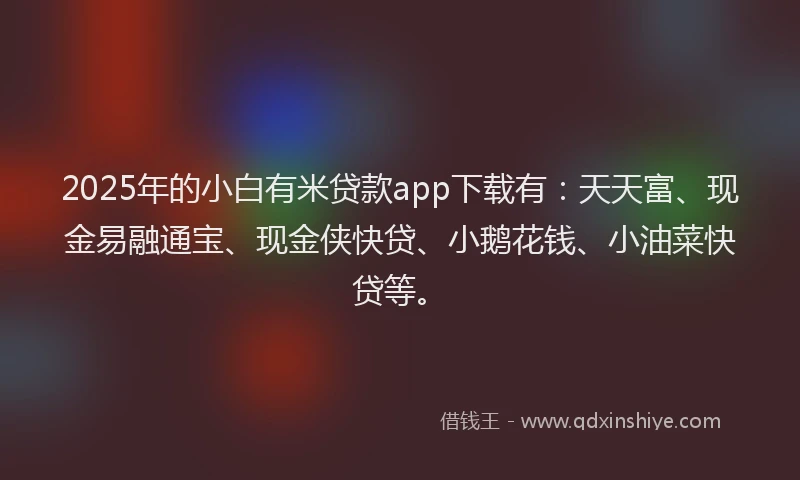 2025年的小白有米贷款app下载有：天天富、现金易融通宝、现金侠快贷、小鹅花钱、小油菜快贷等。