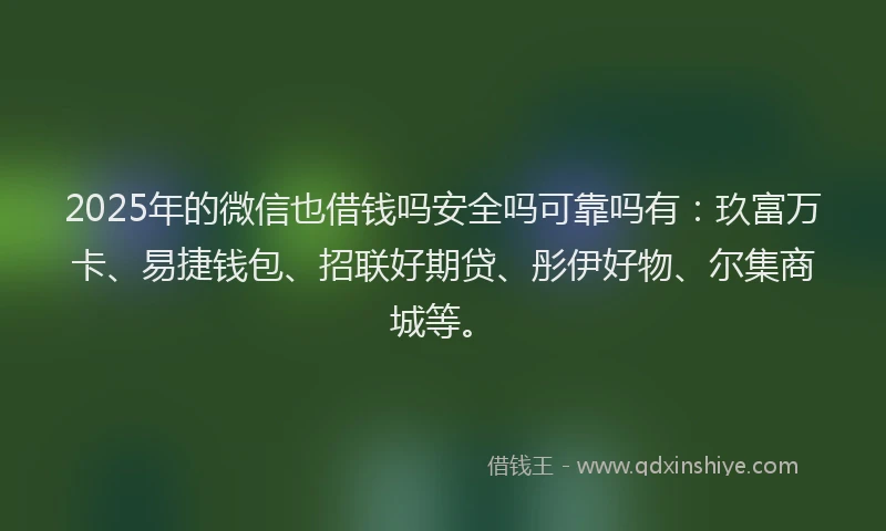 2025年的微信也借钱吗安全吗可靠吗有：玖富万卡、易捷钱包、招联好期贷、彤伊好物、尔集商城等。
