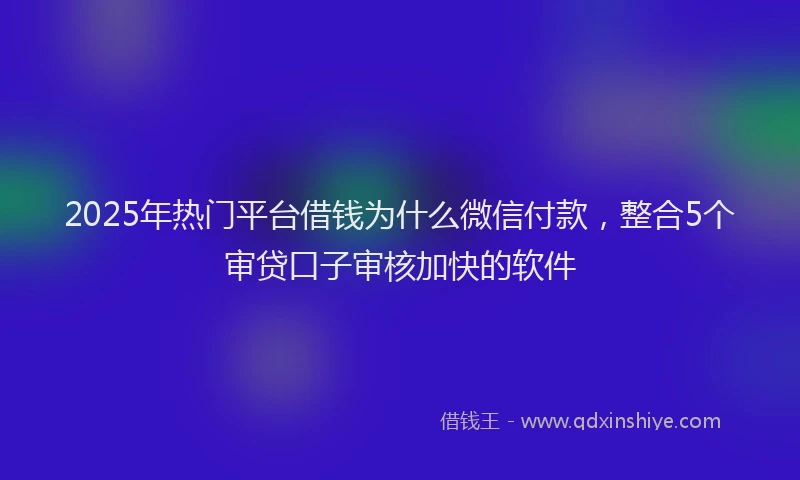 2025年热门平台借钱为什么微信付款，整合5个审贷口子审核加快的软件