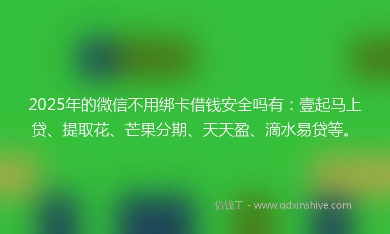 2025年的微信不用绑卡借钱安全吗有：壹起马上贷、提取花、芒果分期、天天盈、滴水易贷等。