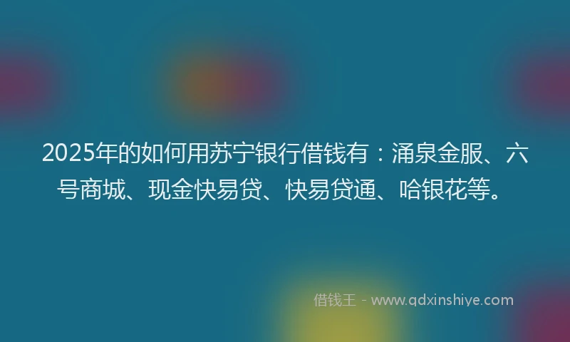 2025年的如何用苏宁银行借钱有：涌泉金服、六号商城、现金快易贷、快易贷通、哈银花等。