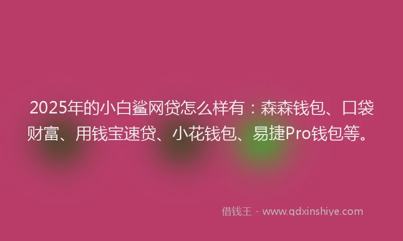 2025年的小白鲨网贷怎么样有：森森钱包、口袋财富、用钱宝速贷、小花钱包、易捷Pro钱包等。