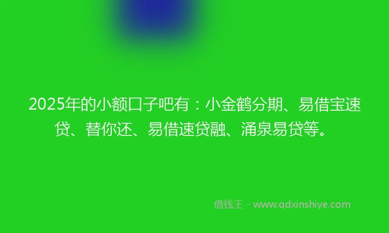 2025年的小额口子吧有：小金鹤分期、易借宝速贷、替你还、易借速贷融、涌泉易贷等。