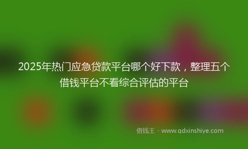 2025年热门应急贷款平台哪个好下款，整理五个借钱平台不看综合评估的平台