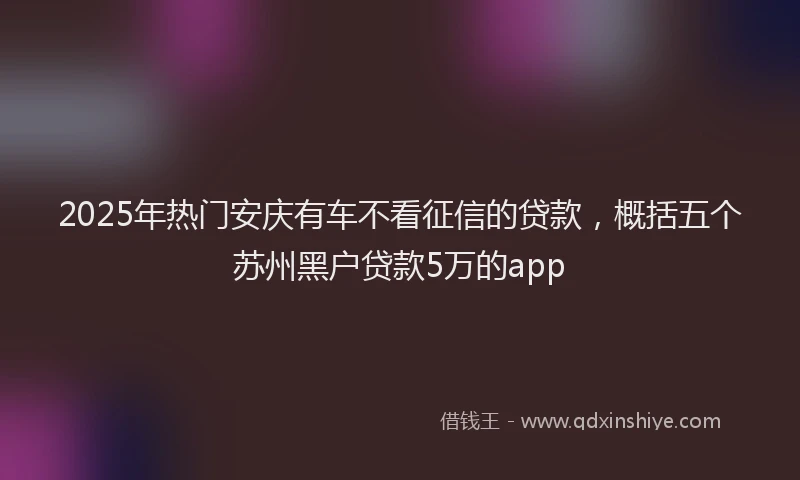 2025年热门安庆有车不看征信的贷款，概括五个苏州黑户贷款5万的app