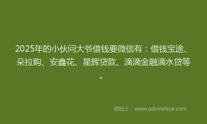 2025年的小伙问大爷借钱要微信有：借钱宝途、朵拉购、安鑫花、星辉贷款、滴滴金融滴水贷等。