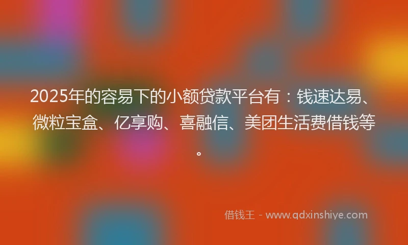 2025年的容易下的小额贷款平台有：钱速达易、微粒宝盒、亿享购、喜融信、美团生活费借钱等。