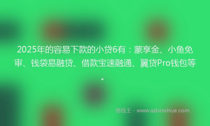 2025年的容易下款的小贷6有：蒙享金、小鱼免审、钱袋易融贷、借款宝速融通、翼贷Pro钱包等。