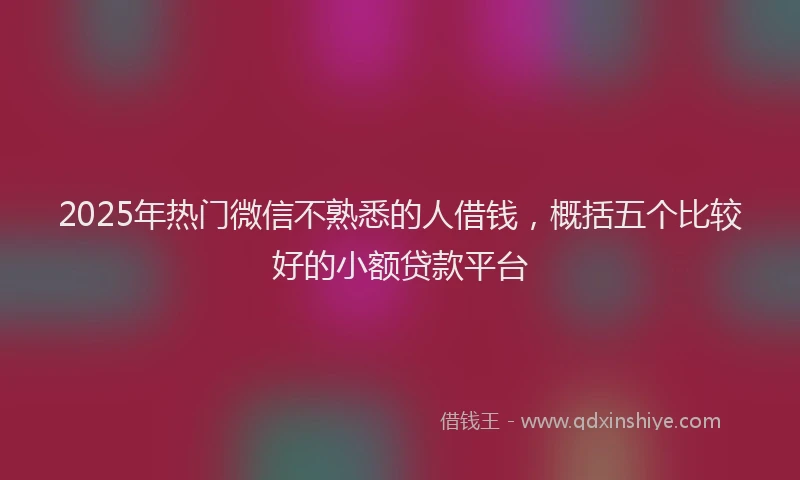 2025年热门微信不熟悉的人借钱，概括五个比较好的小额贷款平台