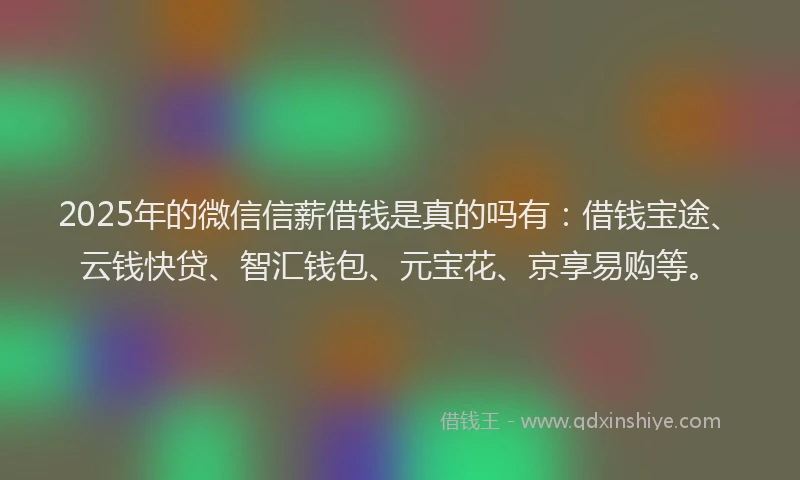 2025年的微信信薪借钱是真的吗有：借钱宝途、云钱快贷、智汇钱包、元宝花、京享易购等。