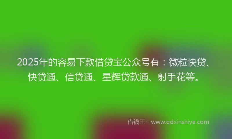 2025年的容易下款借贷宝公众号有：微粒快贷、快贷通、信贷通、星辉贷款通、射手花等。