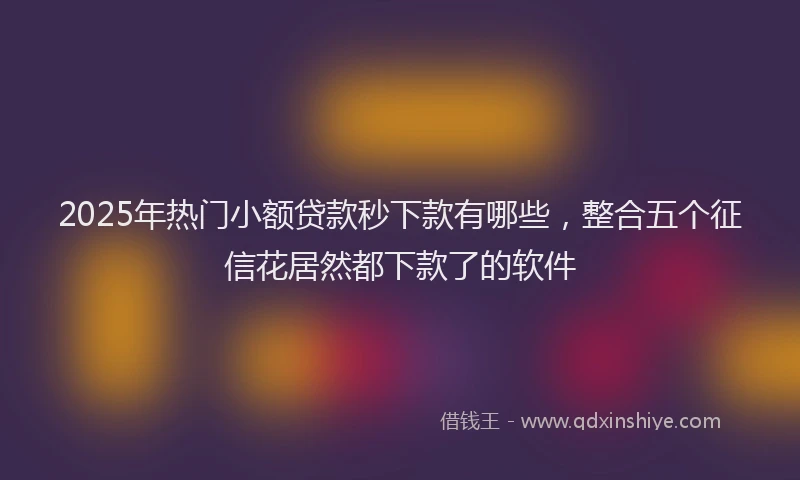2025年热门小额贷款秒下款有哪些，整合五个征信花居然都下款了的软件