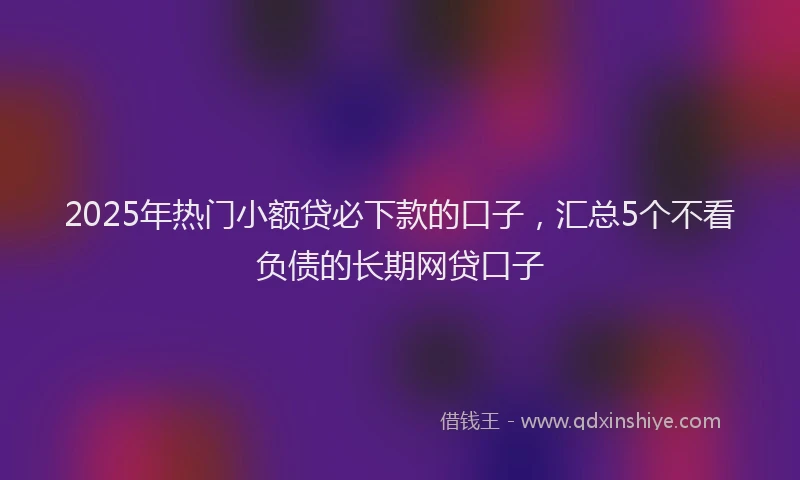 2025年热门小额贷必下款的口子，汇总5个不看负债的长期网贷口子