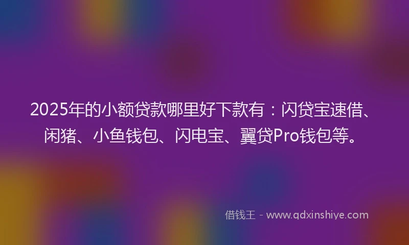 2025年的小额贷款哪里好下款有：闪贷宝速借、闲猪、小鱼钱包、闪电宝、翼贷Pro钱包等。