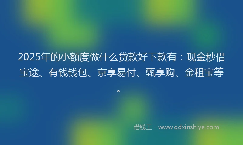 2025年的小额度做什么贷款好下款有：现金秒借宝途、有钱钱包、京享易付、甄享购、金租宝等。