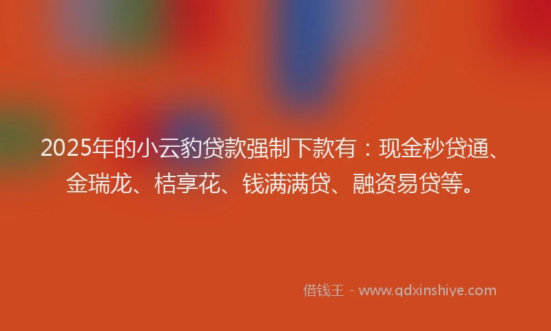 2025年的小云豹贷款强制下款有：现金秒贷通、金瑞龙、桔享花、钱满满贷、融资易贷等。