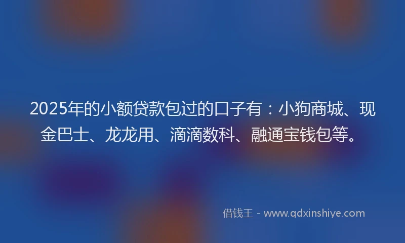 2025年的小额贷款包过的口子有：小狗商城、现金巴士、龙龙用、滴滴数科、融通宝钱包等。