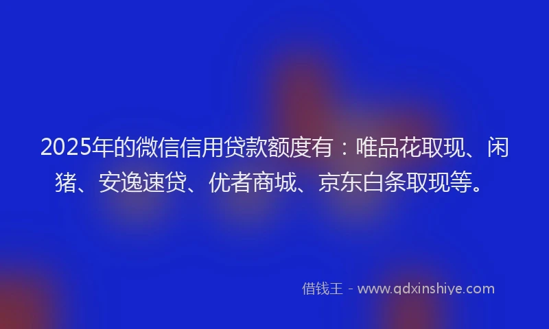 2025年的微信信用贷款额度有：唯品花取现、闲猪、安逸速贷、优者商城、京东白条取现等。