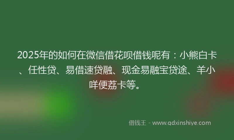 2025年的如何在微信借花呗借钱呢有：小熊白卡、任性贷、易借速贷融、现金易融宝贷途、羊小咩便荔卡等。