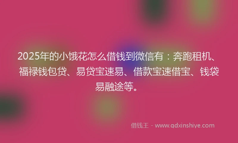 2025年的小饿花怎么借钱到微信有：奔跑租机、福禄钱包贷、易贷宝速易、借款宝速借宝、钱袋易融途等。