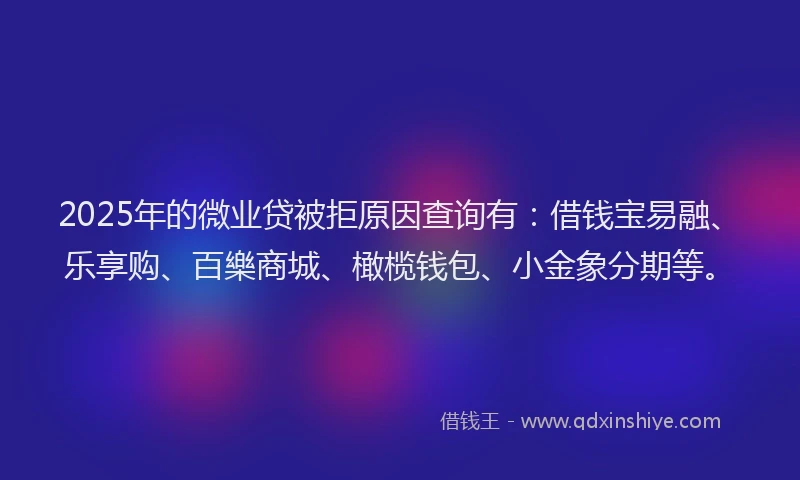 2025年的微业贷被拒原因查询有：借钱宝易融、乐享购、百樂商城、橄榄钱包、小金象分期等。