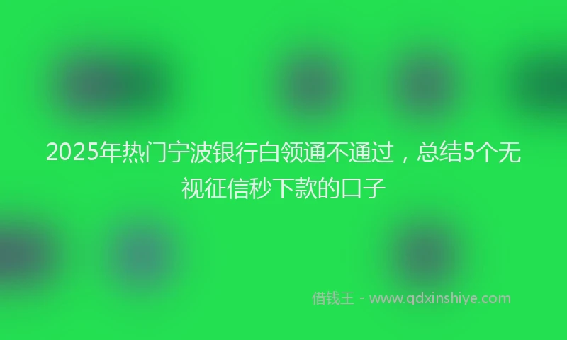 2025年热门宁波银行白领通不通过，总结5个无视征信秒下款的口子