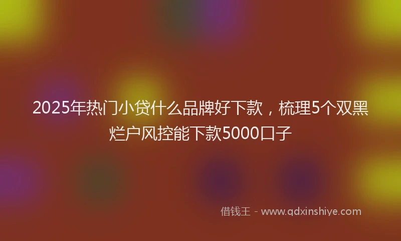 2025年热门小贷什么品牌好下款，梳理5个双黑烂户风控能下款5000口子