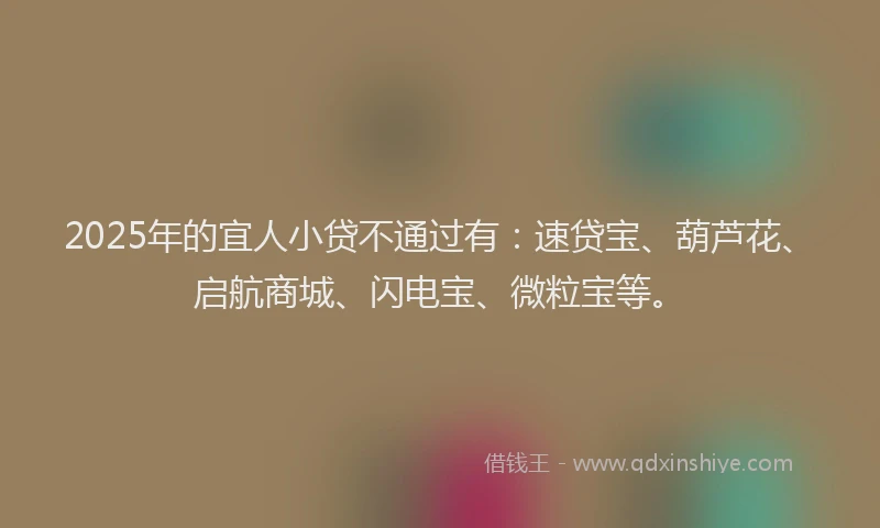 2025年的宜人小贷不通过有：速贷宝、葫芦花、启航商城、闪电宝、微粒宝等。