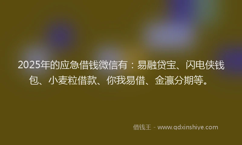 2025年的应急借钱微信有：易融贷宝、闪电侠钱包、小麦粒借款、你我易借、金瀛分期等。