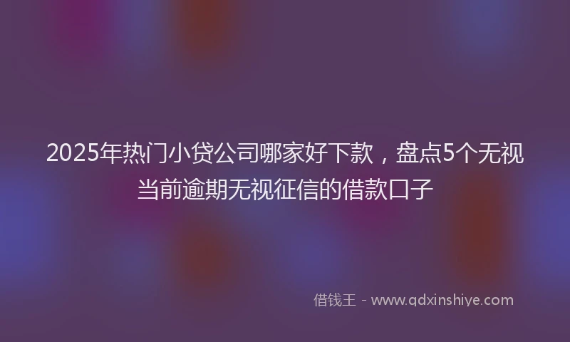 2025年热门小贷公司哪家好下款，盘点5个无视当前逾期无视征信的借款口子