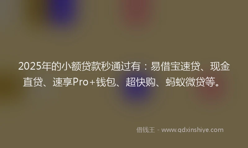 2025年的小额贷款秒通过有：易借宝速贷、现金直贷、速享Pro+钱包、超快购、蚂蚁微贷等。