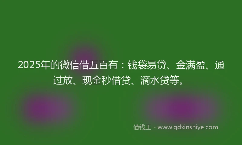 2025年的微信借五百有：钱袋易贷、金满盈、通过放、现金秒借贷、滴水贷等。