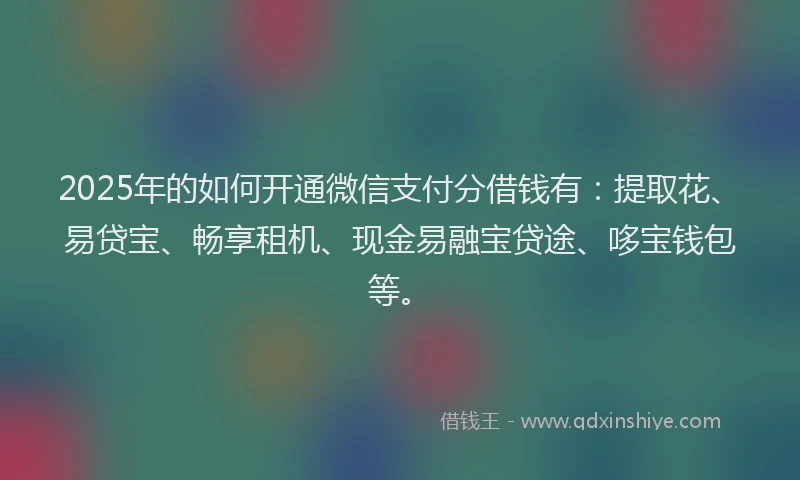 2025年的如何开通微信支付分借钱有：提取花、易贷宝、畅享租机、现金易融宝贷途、哆宝钱包等。