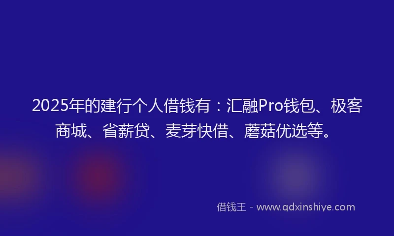 2025年的建行个人借钱有：汇融Pro钱包、极客商城、省薪贷、麦芽快借、蘑菇优选等。