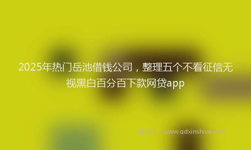2025年热门岳池借钱公司，整理五个不看征信无视黑白百分百下款网贷app