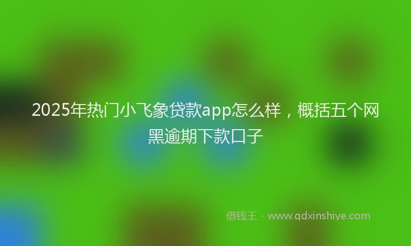 2025年热门小飞象贷款app怎么样，概括五个网黑逾期下款口子