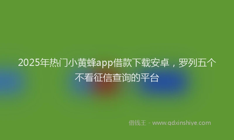 2025年热门小黄蜂app借款下载安卓，罗列五个不看征信查询的平台