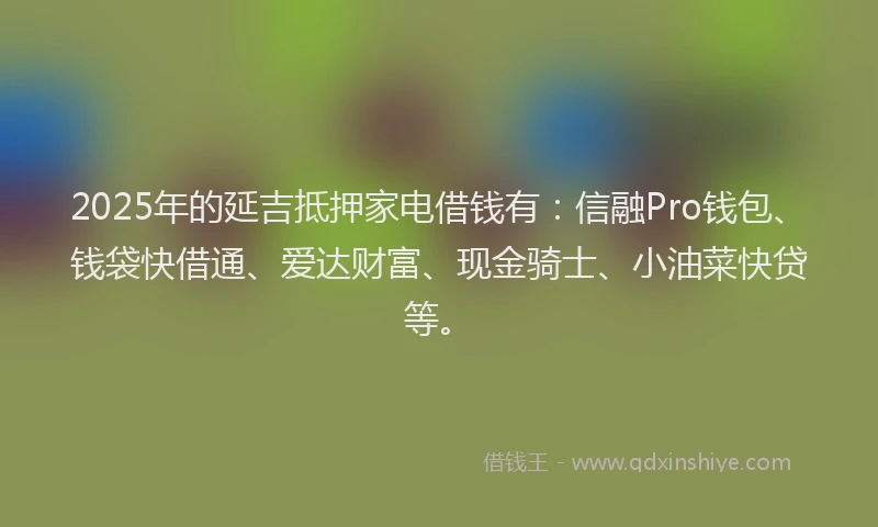 2025年的延吉抵押家电借钱有：信融Pro钱包、钱袋快借通、爱达财富、现金骑士、小油菜快贷等。