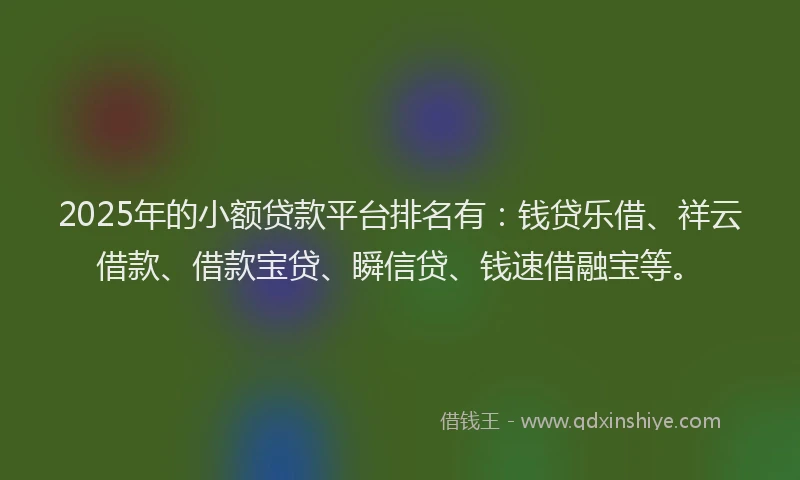 2025年的小额贷款平台排名有：钱贷乐借、祥云借款、借款宝贷、瞬信贷、钱速借融宝等。