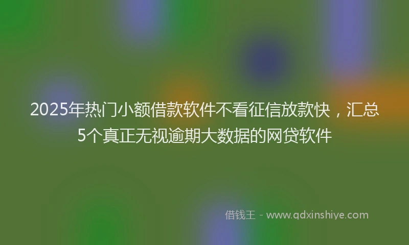2025年热门小额借款软件不看征信放款快，汇总5个真正无视逾期大数据的网贷软件