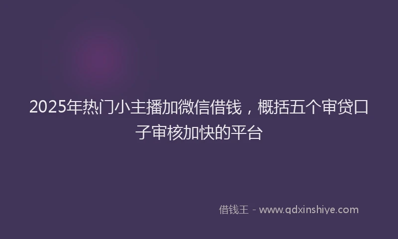 2025年热门小主播加微信借钱，概括五个审贷口子审核加快的平台