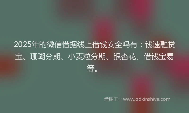 2025年的微信借据线上借钱安全吗有：钱速融贷宝、珊瑚分期、小麦粒分期、银杏花、借钱宝易等。
