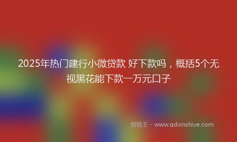 2025年热门建行小微贷款 好下款吗，概括5个无视黑花能下款一万元口子