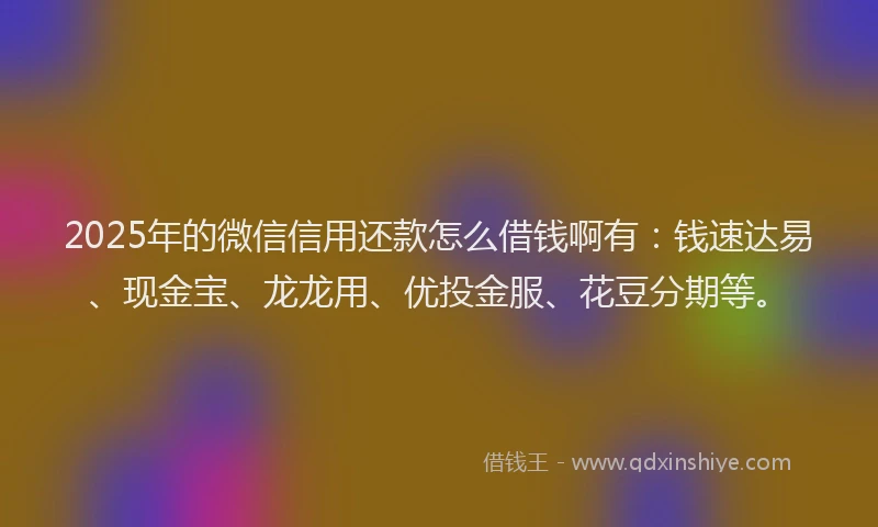 2025年的微信信用还款怎么借钱啊有：钱速达易、现金宝、龙龙用、优投金服、花豆分期等。