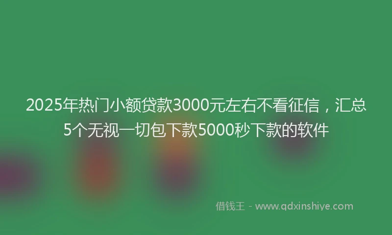 2025年热门小额贷款3000元左右不看征信，汇总5个无视一切包下款5000秒下款的软件