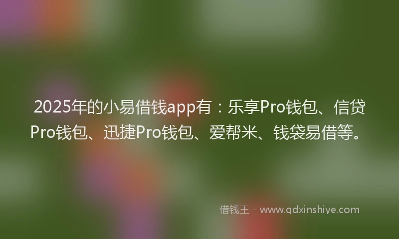 2025年的小易借钱app有：乐享Pro钱包、信贷Pro钱包、迅捷Pro钱包、爱帮米、钱袋易借等。